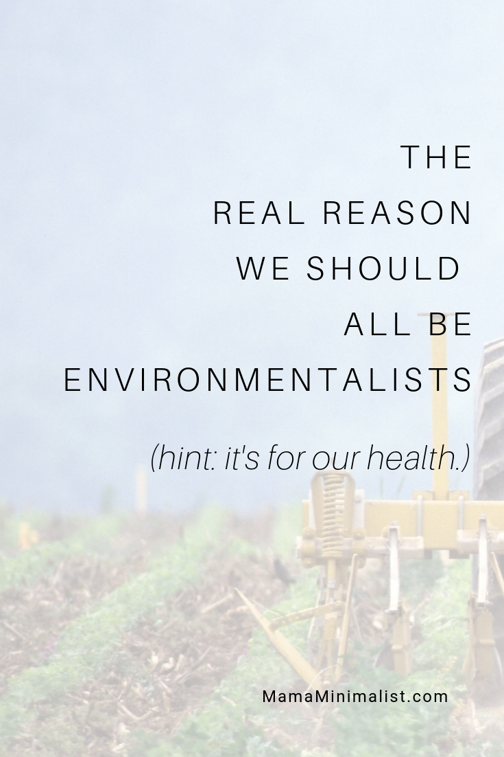 The health of our planet affects the health of humans. Here's how + what we can do about it.