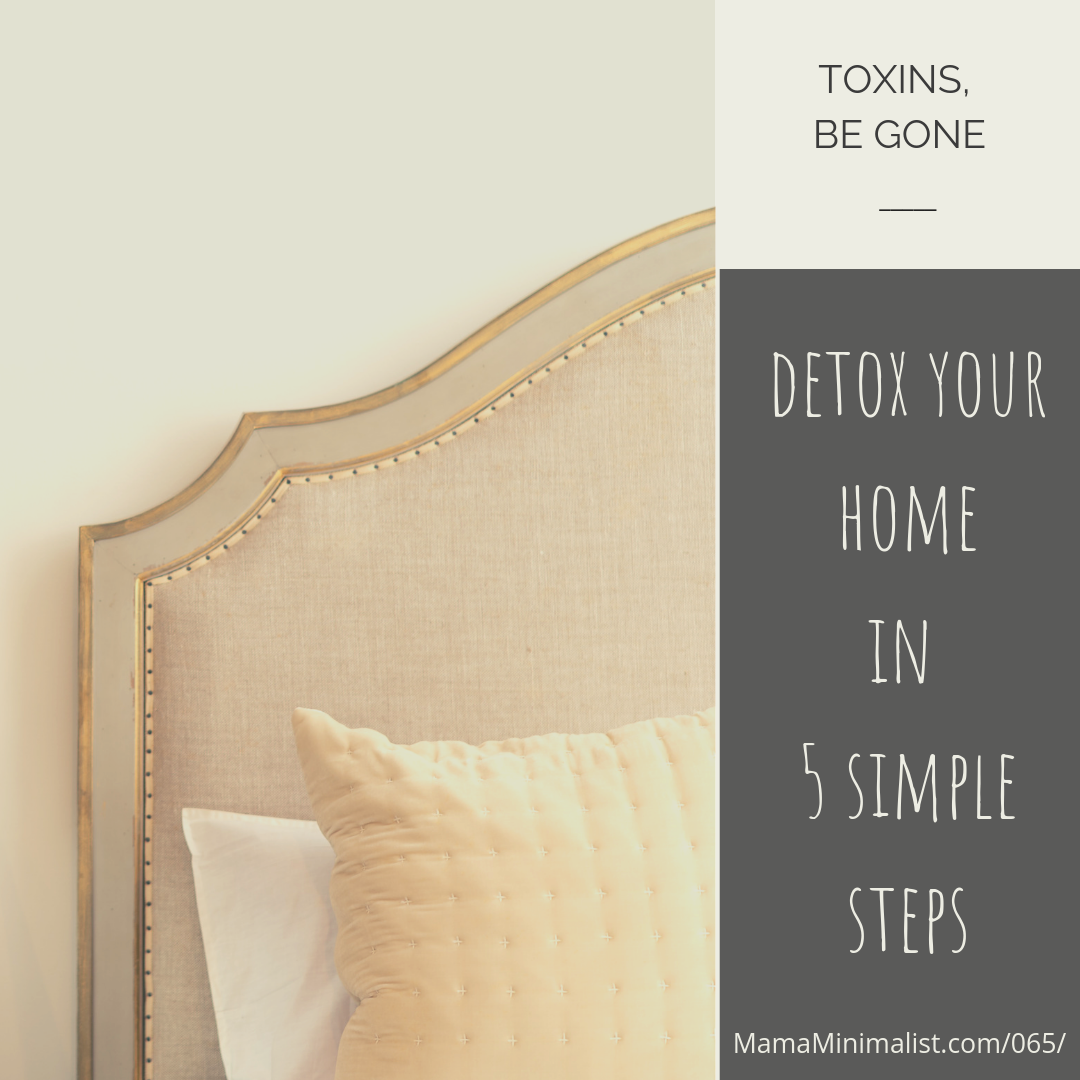 Detox your home + purify your air in 5 easy steps. Free calendar checklist included!