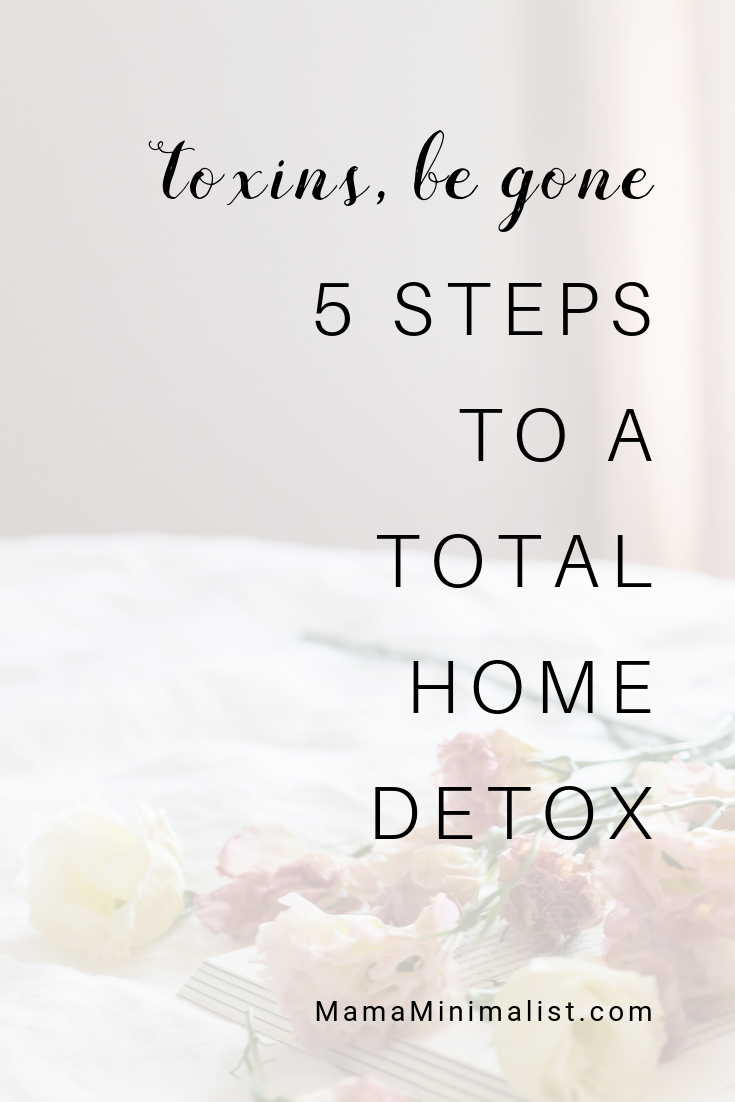 Toxins are everywhere, even in the cleanest of living spaces. Indoor air quality is typically 2-5 times more polluted than outdoor air, too. Detox your home + purify your air in 5 easy steps. Free calendar checklist included!