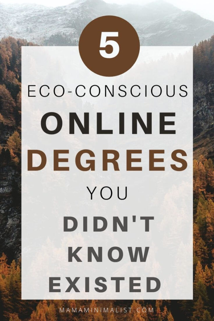 If you have ever considered an online degree in environmental science, now is the time to take the leap. Inside: 5 eco-conscious online degrees that put the planet first.