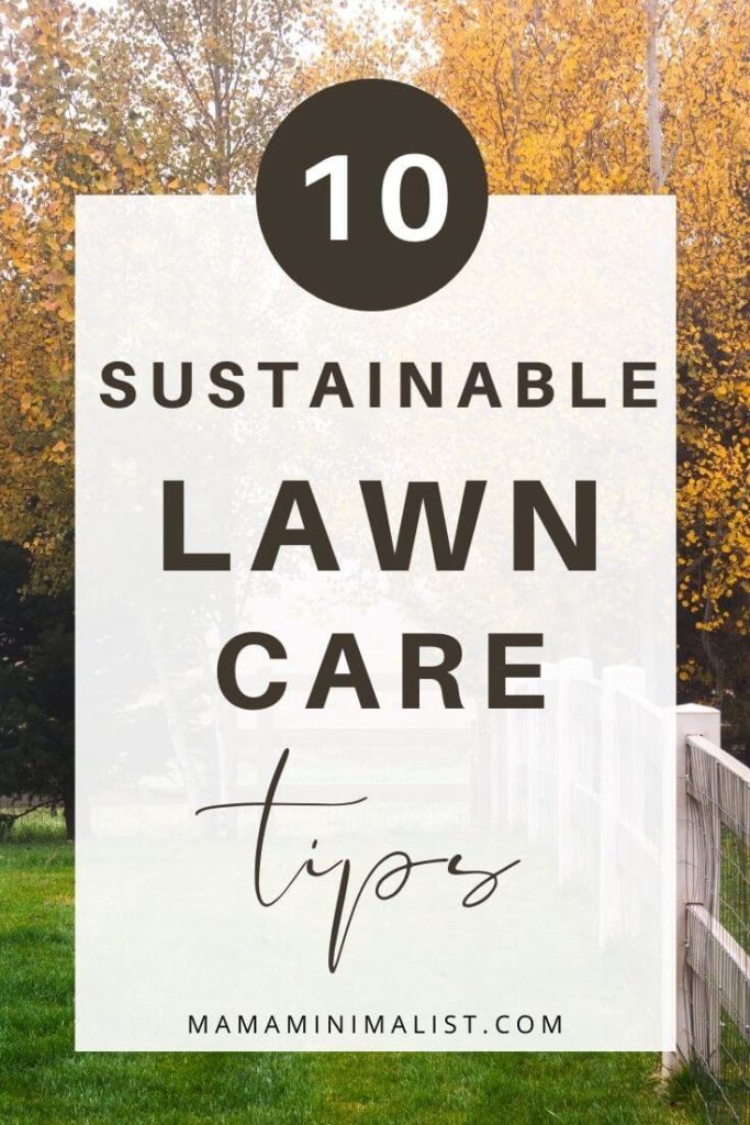 Americans are obsessed with vibrant and weed-free lawns. But in order to achieve an idyllic lawn, you must be willing to shell out either money or time, despite having other things to spend your money on and other ways to spend your free time. There are environmental implications associated with yard maintenance, too. Inside: 10 tips to make your yard more eco-friendly for your kids and the species that call them home; ( and ways to make it more minimalist for you, too!).