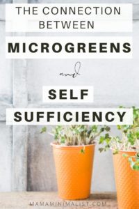 Microgreens are baby vegetables harvested at the seedling state; they also happen to be insanely simple to grow. And gardening indoors during the winter months? It’s a perfect way to both incrementally decrease your reliance on corporations and improve your own self-sufficient skillset. On this episode of The Sustainable Minimalists podcast I chat with Laura Patterson. Laura believes embracing microgreens is an attainable first step toward growing; here's how to start.