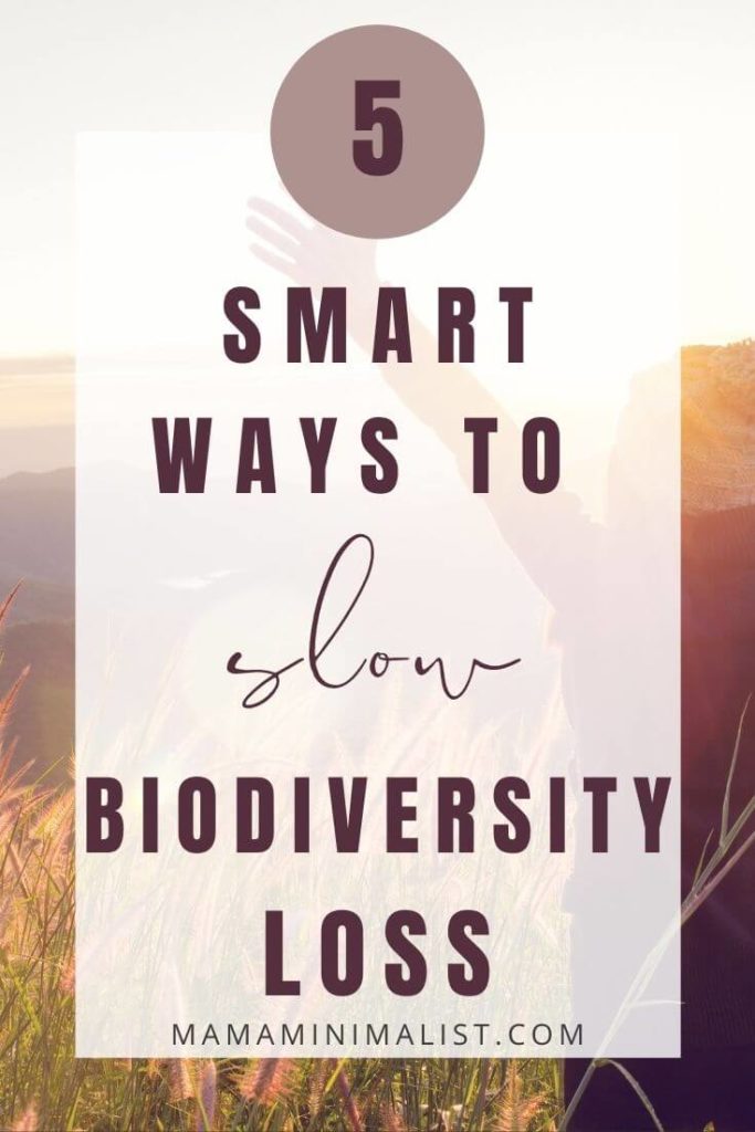 Biodiversity is the result of billions of years of evolution into an intricate balancing act that can best be described as the web of life. When one species is lost, such loss threatens survival of countless others. On this episode of The Sustainable Minimalists podcast: The connections between biodiversity loss, climate change, and food scarcity, plus what we can do about it. 