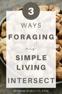 Foraging is a fantastic way to supplement your family's nutrition; it also happens to be an excellent way to get outdoors and explore nature. On this episode of The Sustainable Minimalists podcast: 5 benefits of foraging for the whole family and where and how to start. Health and safety tips for beginners, too. 