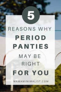 Americans generate over 202,000 tons of plastic through disposable menstrual products each year, and period panties are a leak-proof and zero-waste alternative to tampons and pads. Inside: what to look before before buying period underwear; the brands with the most sustainable fibers and practices, too. 