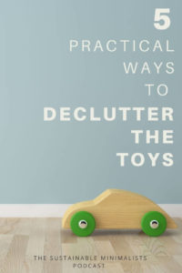 Got kids? If so, you've also got toys. If you're like me, you may also have a play room that's bursting at the seams with active, plastic toys. On this episode of The Sustainable Minimalists podcast: what research says about toys and play; suggestions on how to foster diverse play experiences for children without buying junk, too.