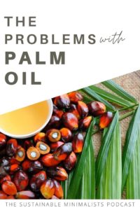Palm oil imports to the United States have risen a whopping 263% in the last 15 years and, these days, the stuff is in our toothpaste, our shampoo, in our pet's food, in our makeup, and more. Indeed, palm oil is in everything, and its cultivation is wreaking havoc on our planet. On this episode of The Sustainable Minimalists podcast: Why, exactly, palm oil is so bad, plus accessible ways to reduce your reliance on it. 
