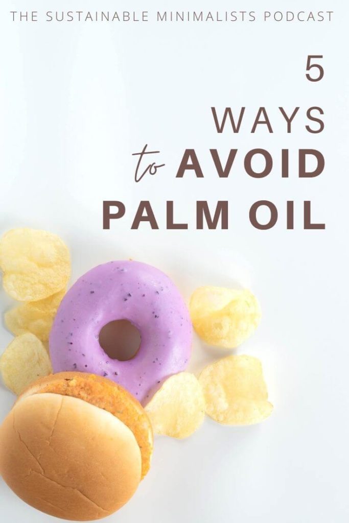 Why is Palm Oil Bad? - Sustainable Minimalists