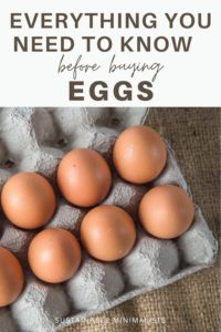 There's lots to consider when buying eggs. What does "humanely raised" mean, exactly, and are free-range eggs actually worth the extra cost? On this episode of the Sustainable Minimalists podcast: How to confidently read an egg carton so you can make informed purchasing decisions moving forward.
