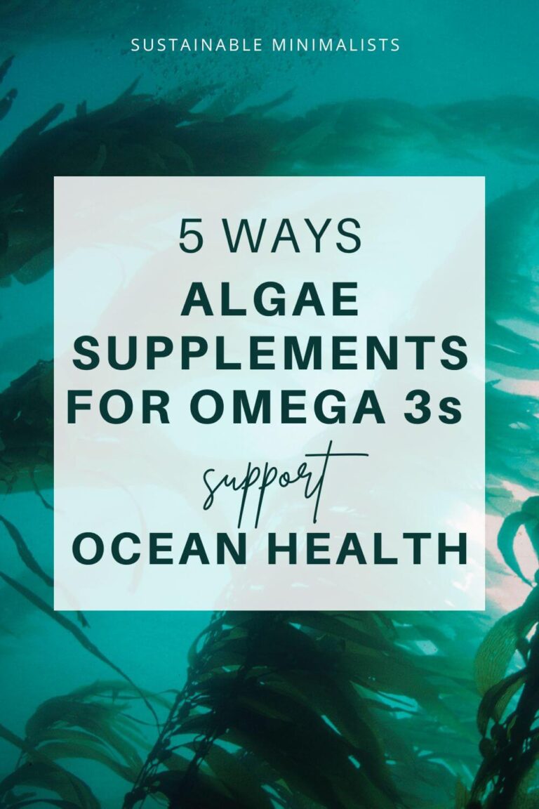 5 Reasons To Embrace Algae For Omega 3s Sustainable Minimalists