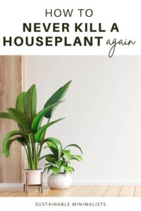 Although caring for plants has been shown to reduce stress, increase joy, and cultivate connections with ourselves, others and the earth, many of us are epic plant killers. What then? On this episode of the Sustainable Minimalists podcast: a crash course on houseplant care for novices and intermediates so we (fingers crossed!) never kill a houseplant again.