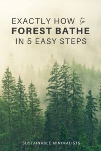 Time spent in nature is recreation; it's also restorative and preventative medicine. Here's how to start your forest bathing practice.